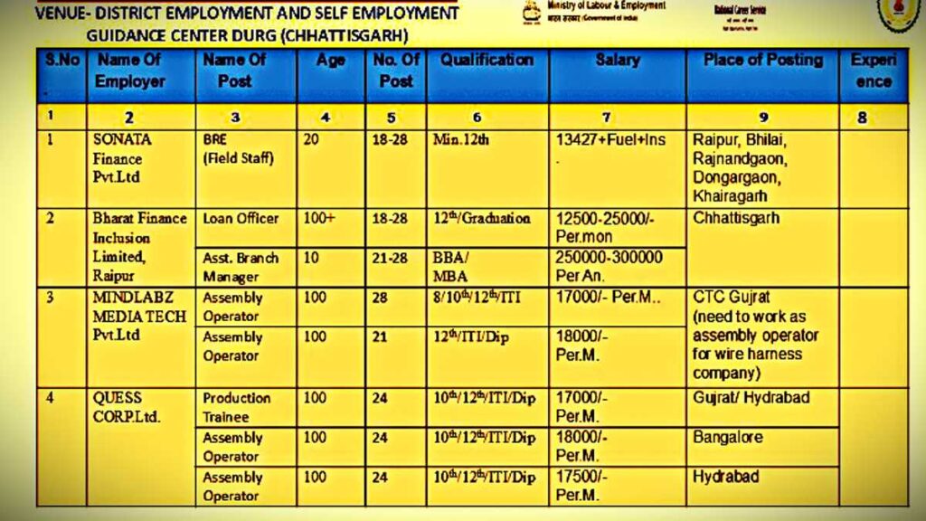 Durg Bhilai Raipur Balod Jobs News 